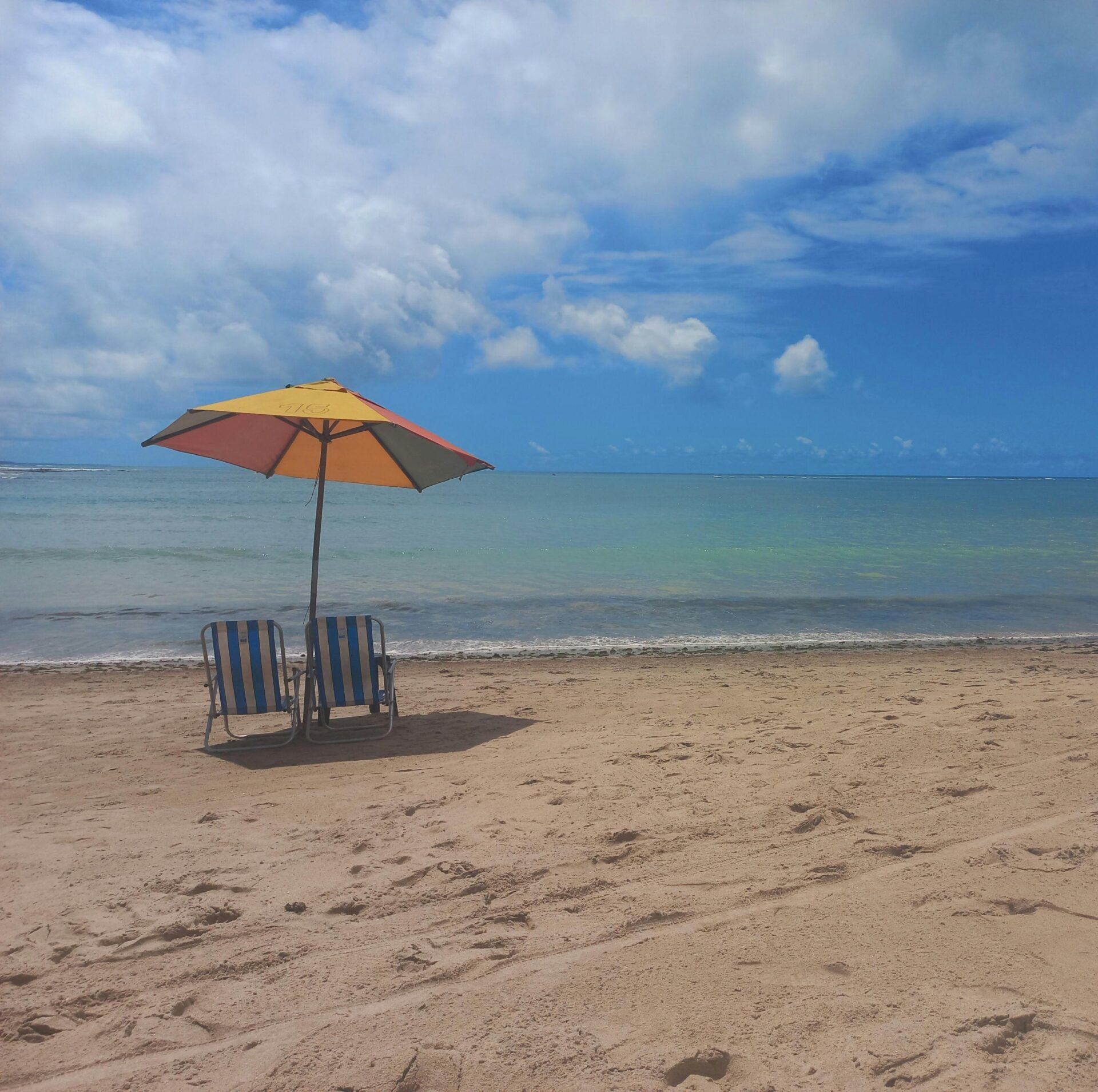 Praia do Gunga, Alagoas - As Melhores Praias do Nordeste