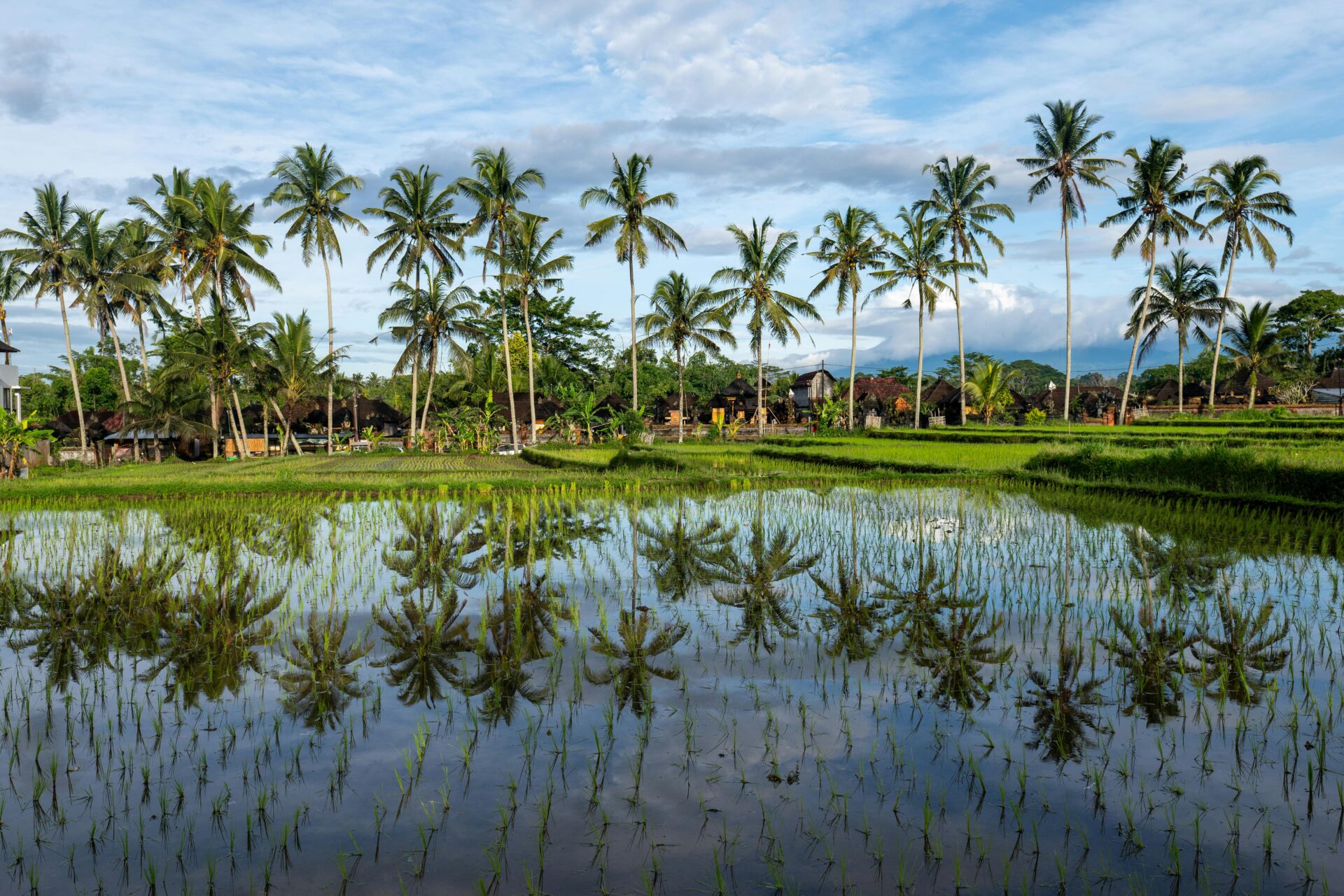 Ubud, Indonésia