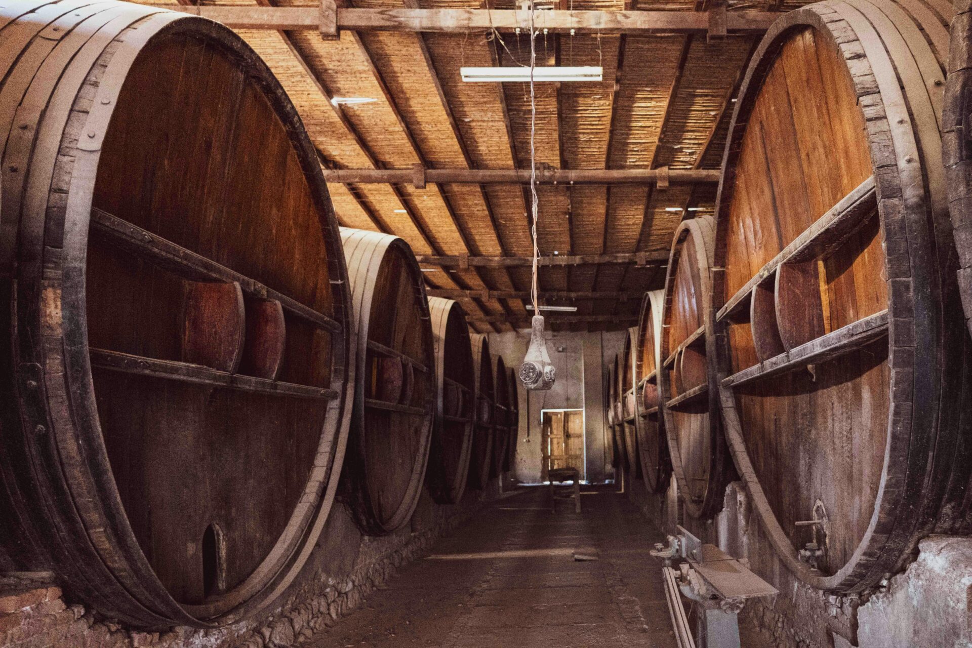 Vinícola Canguera