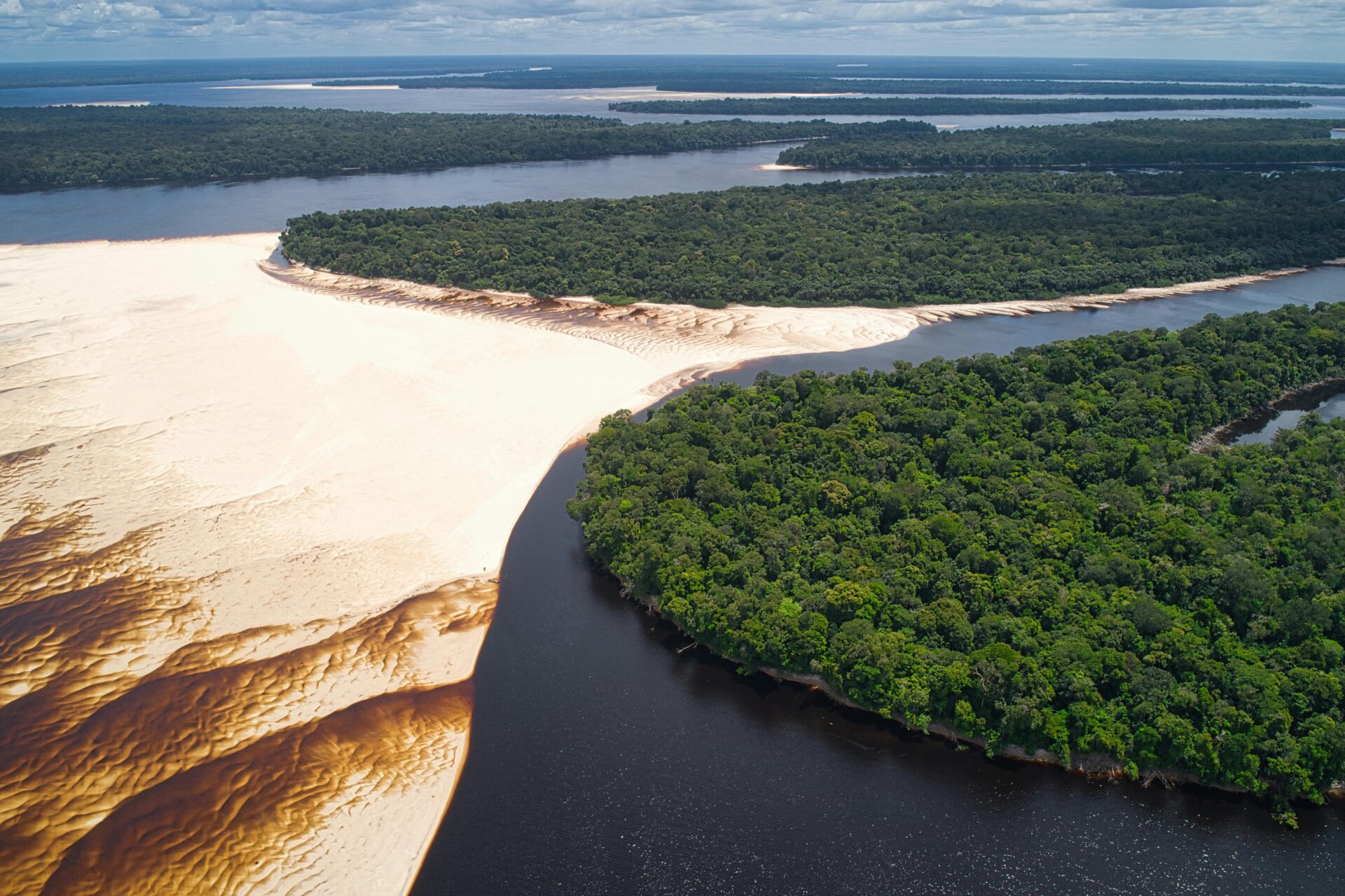 Amazônia