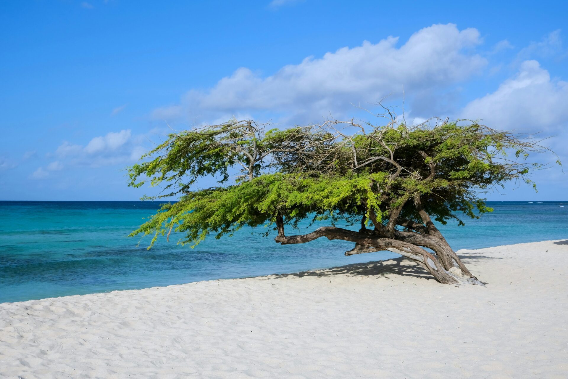 Aruba - Os Melhores Destinos no Caribe