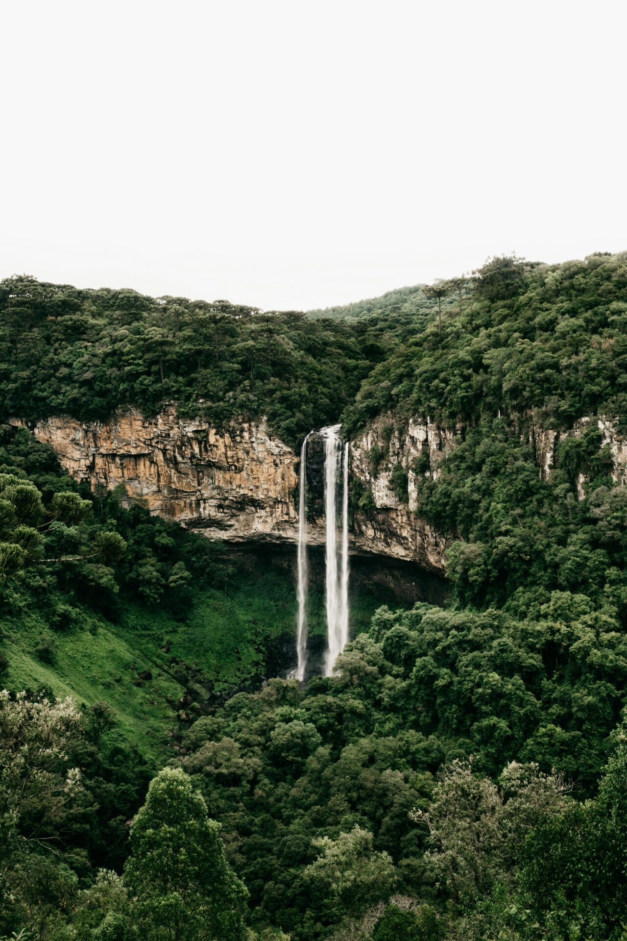 Canela: Natureza e Aventura na Serra Gaúcha