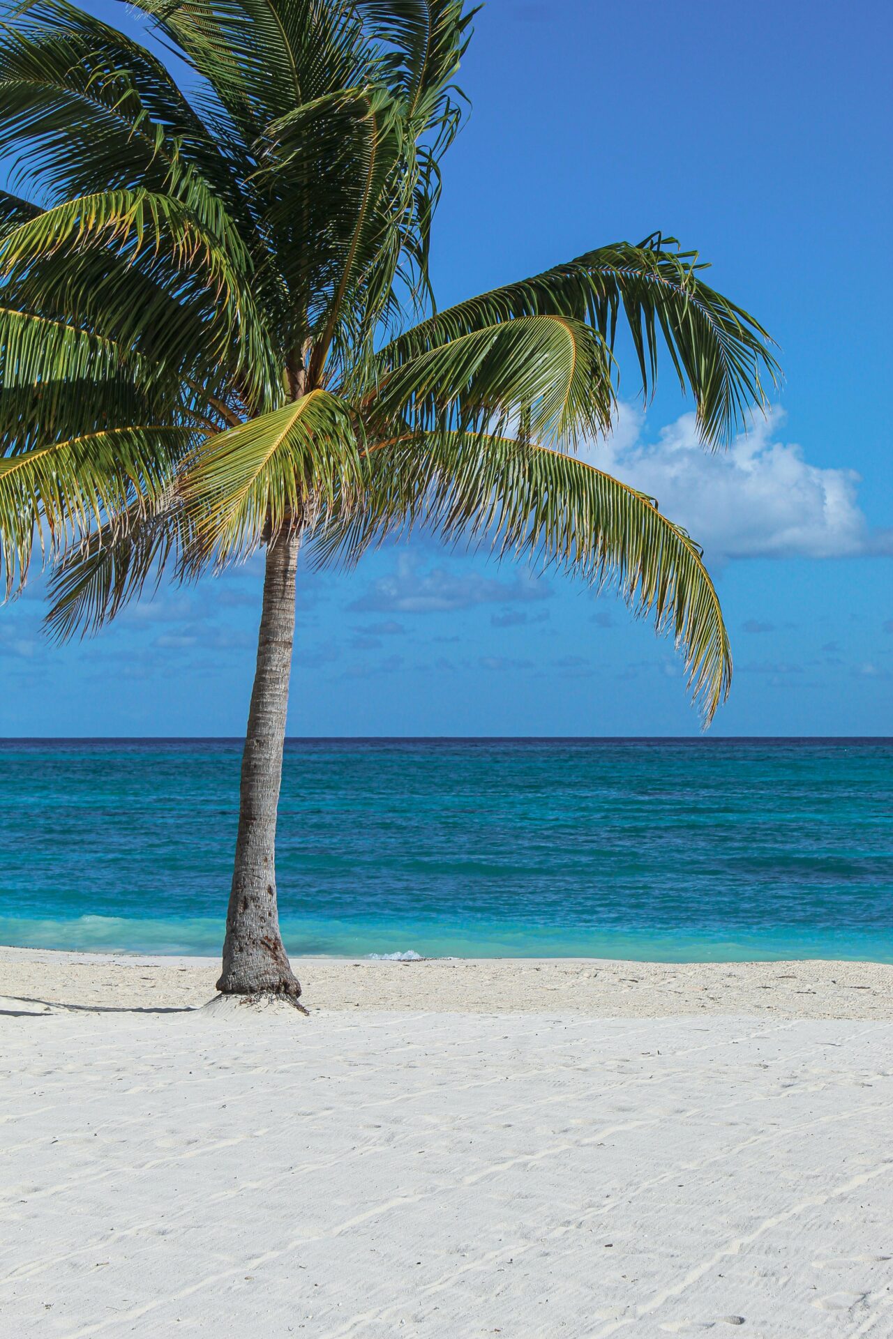 Jamaica - Os Melhores Destinos no Caribe