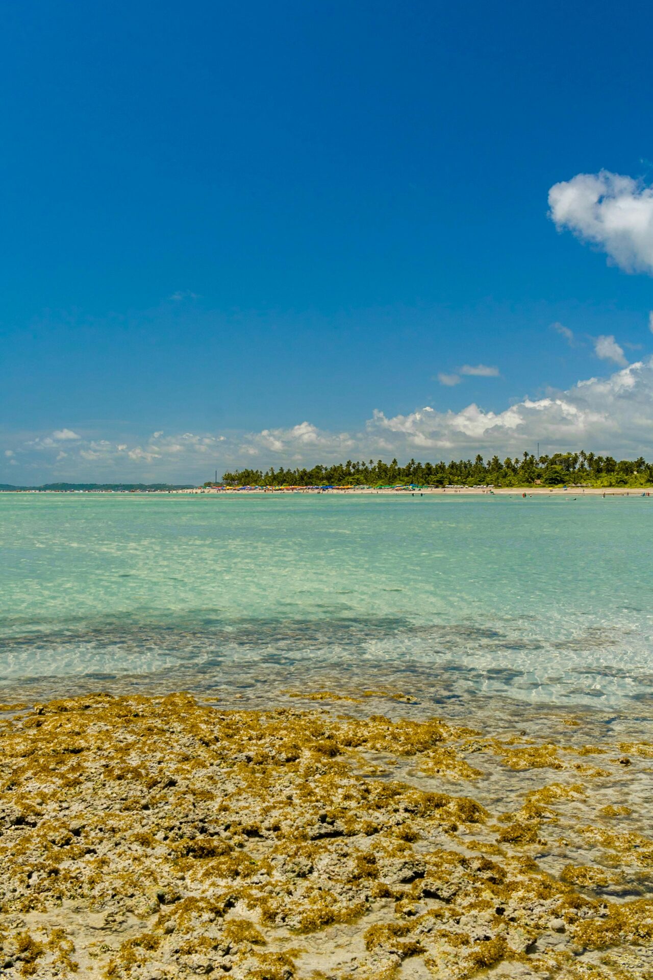 Maragogi
