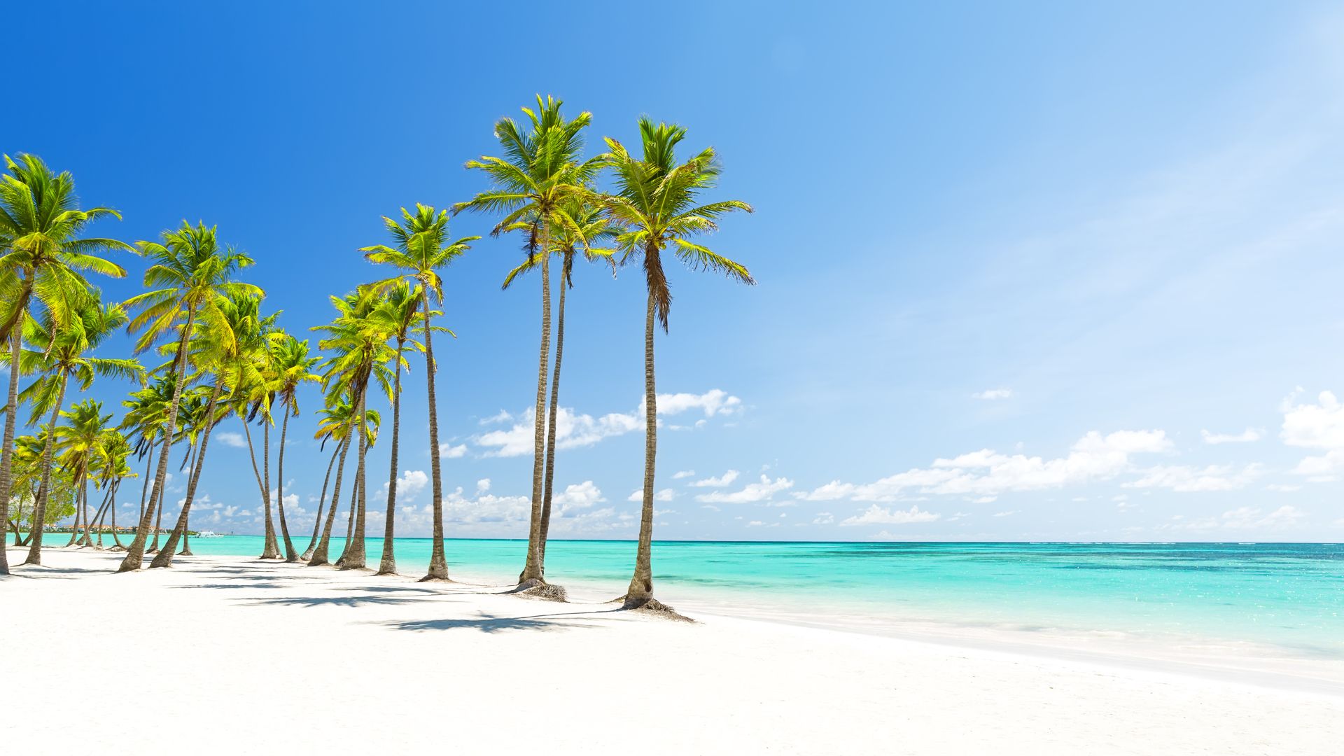 Quando ir a Punta Cana