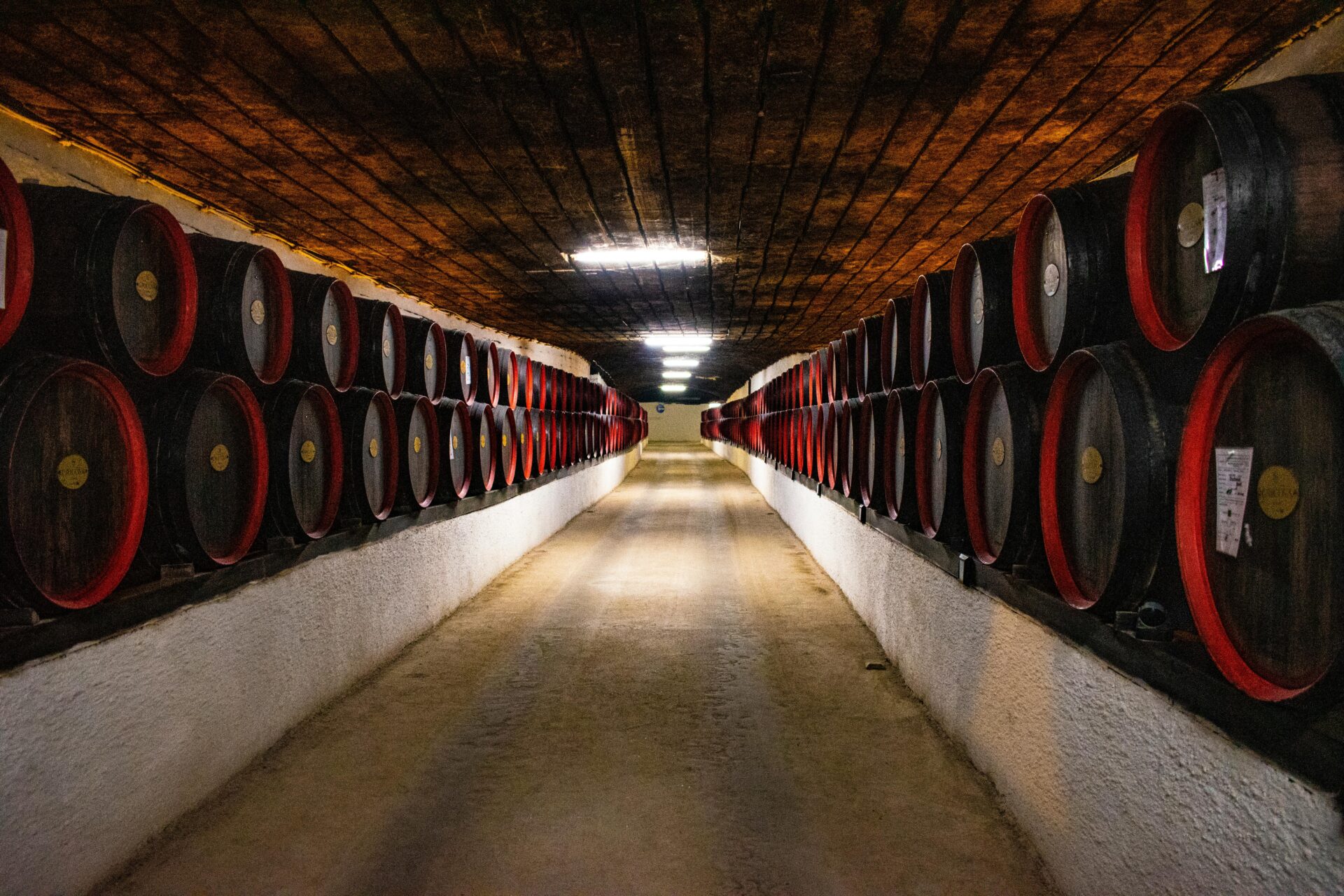 4 Vinícolas em Montevideo