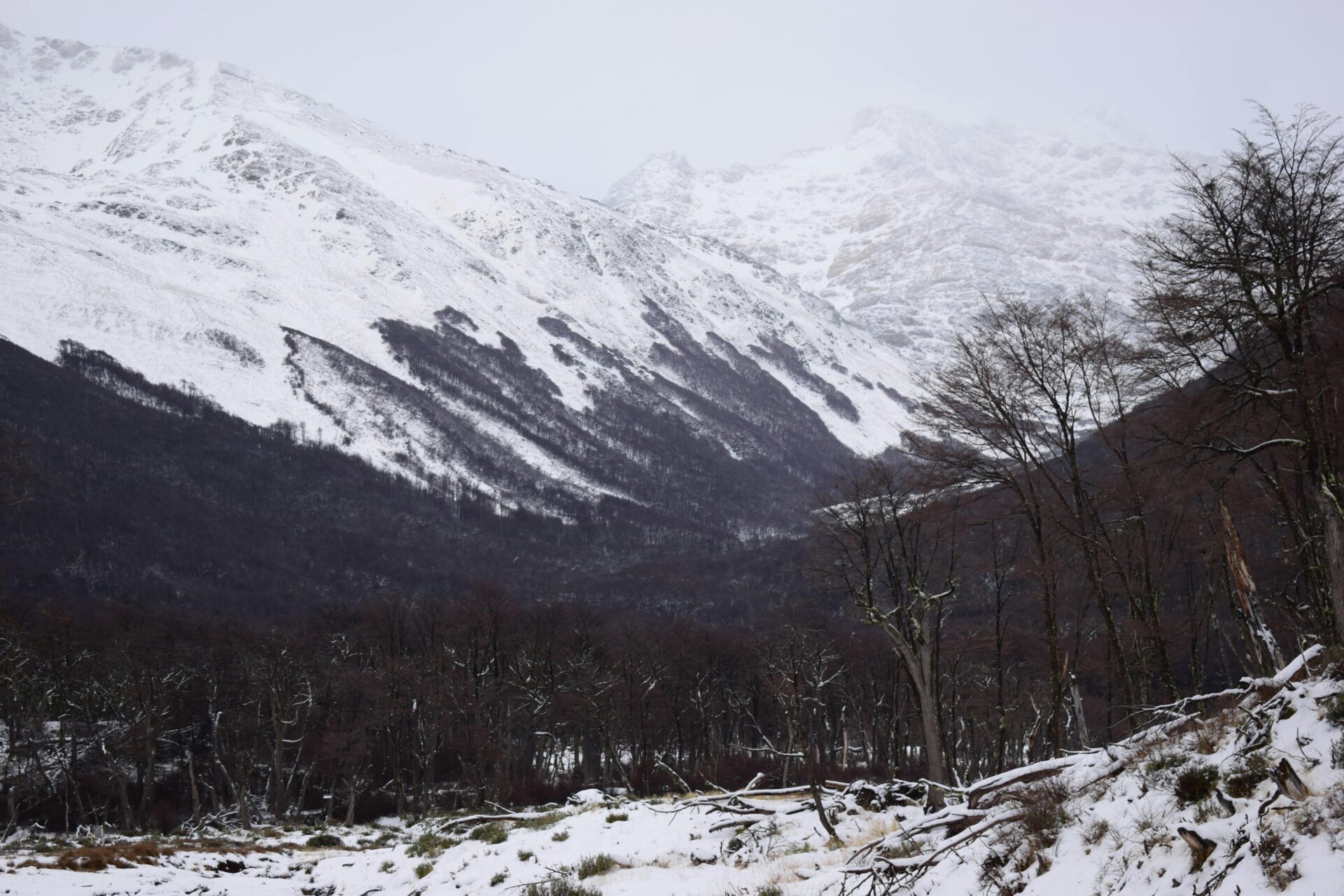 Cerro Castor - Principais Pontos Turísticos de Ushuaia