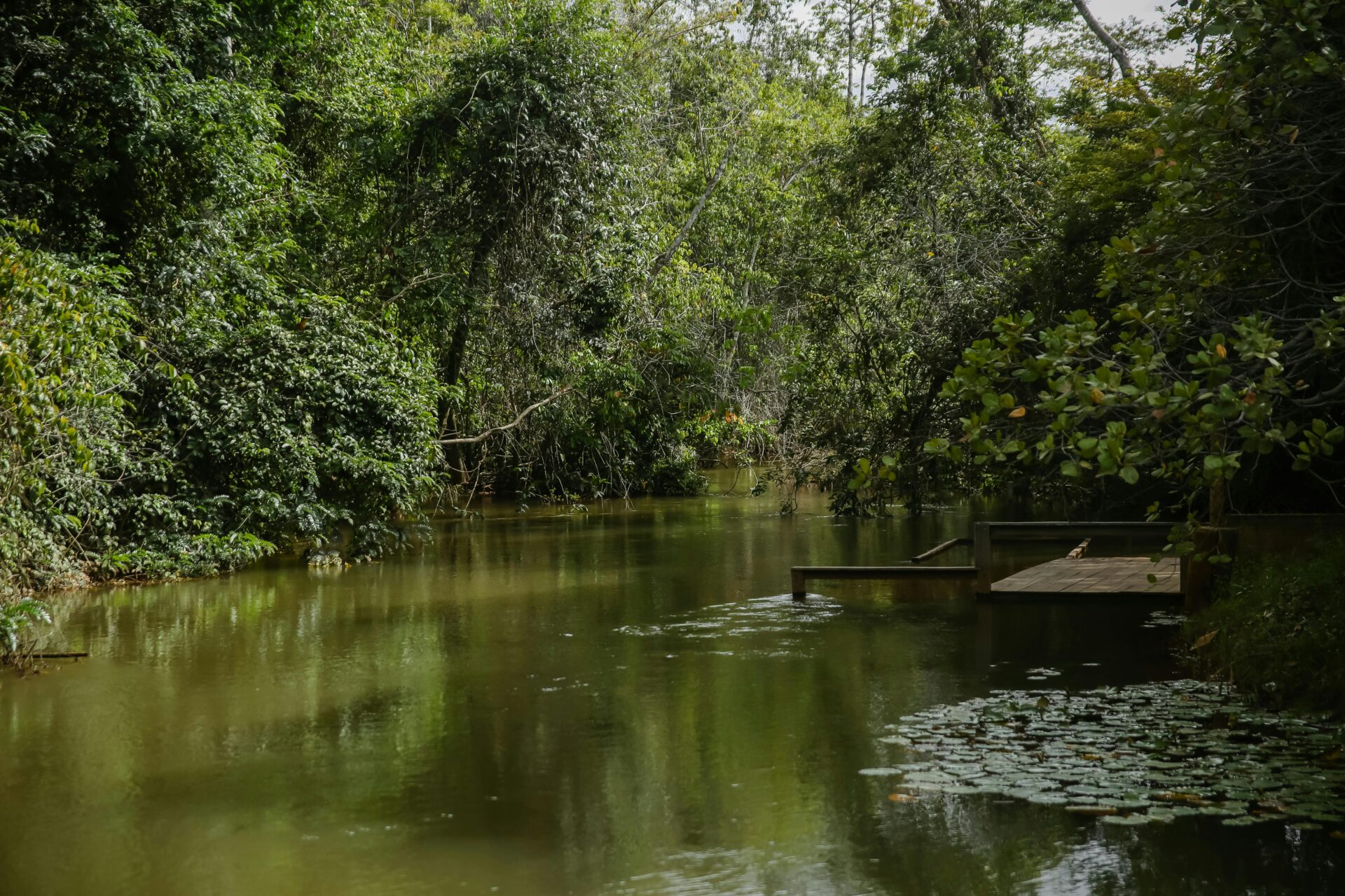 Pantanal (Mato Grosso/Mato Grosso do Sul)