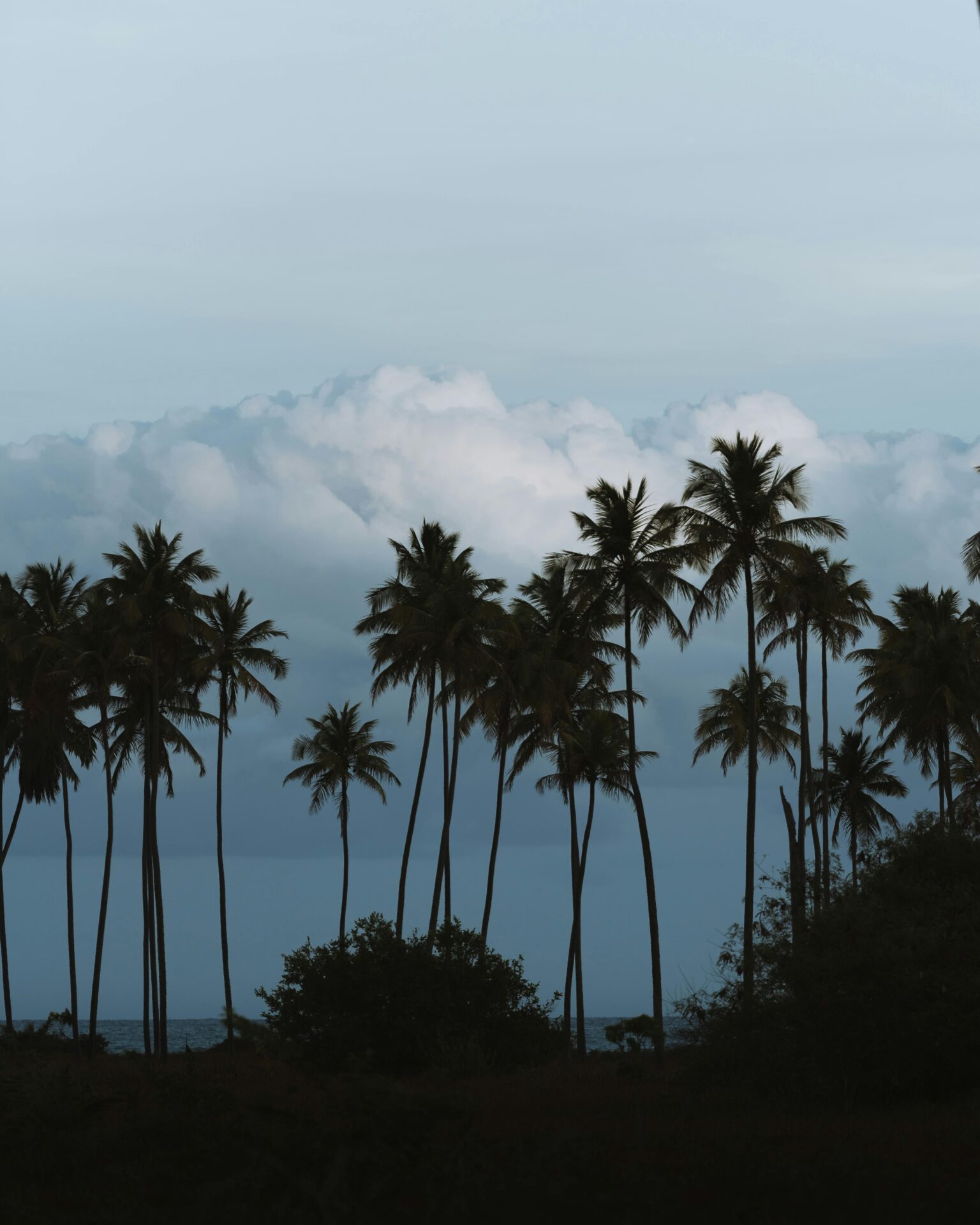 Quando ir em São Miguel dos Milagres, em Alagoas, Brasil.