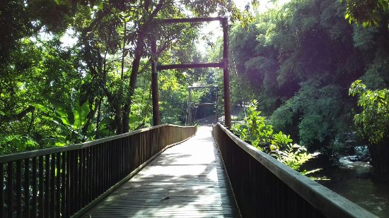 Trilhas ecológicas no Parque dos Saltos, em Brotas.