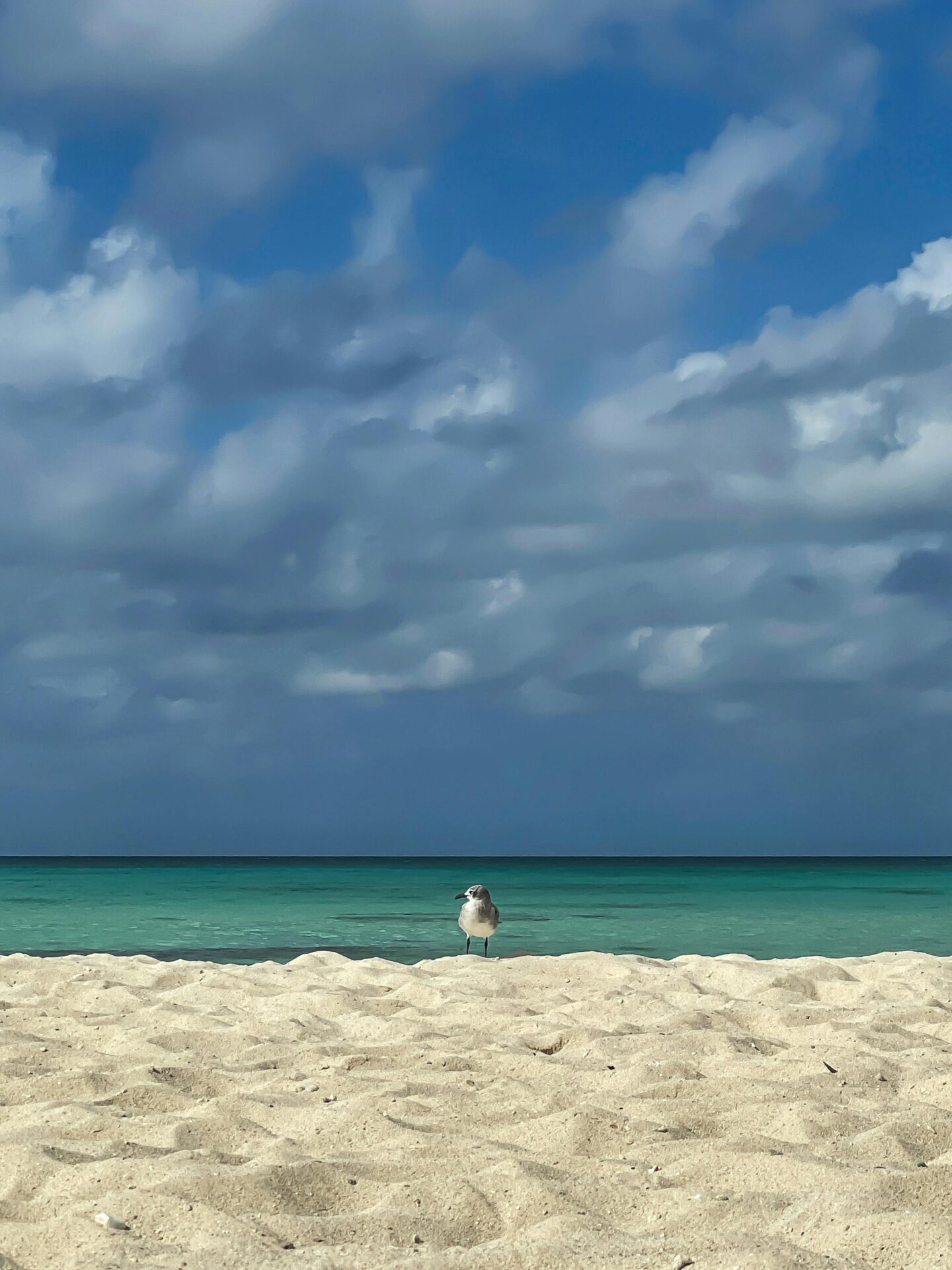 Aruba, Países Baixos