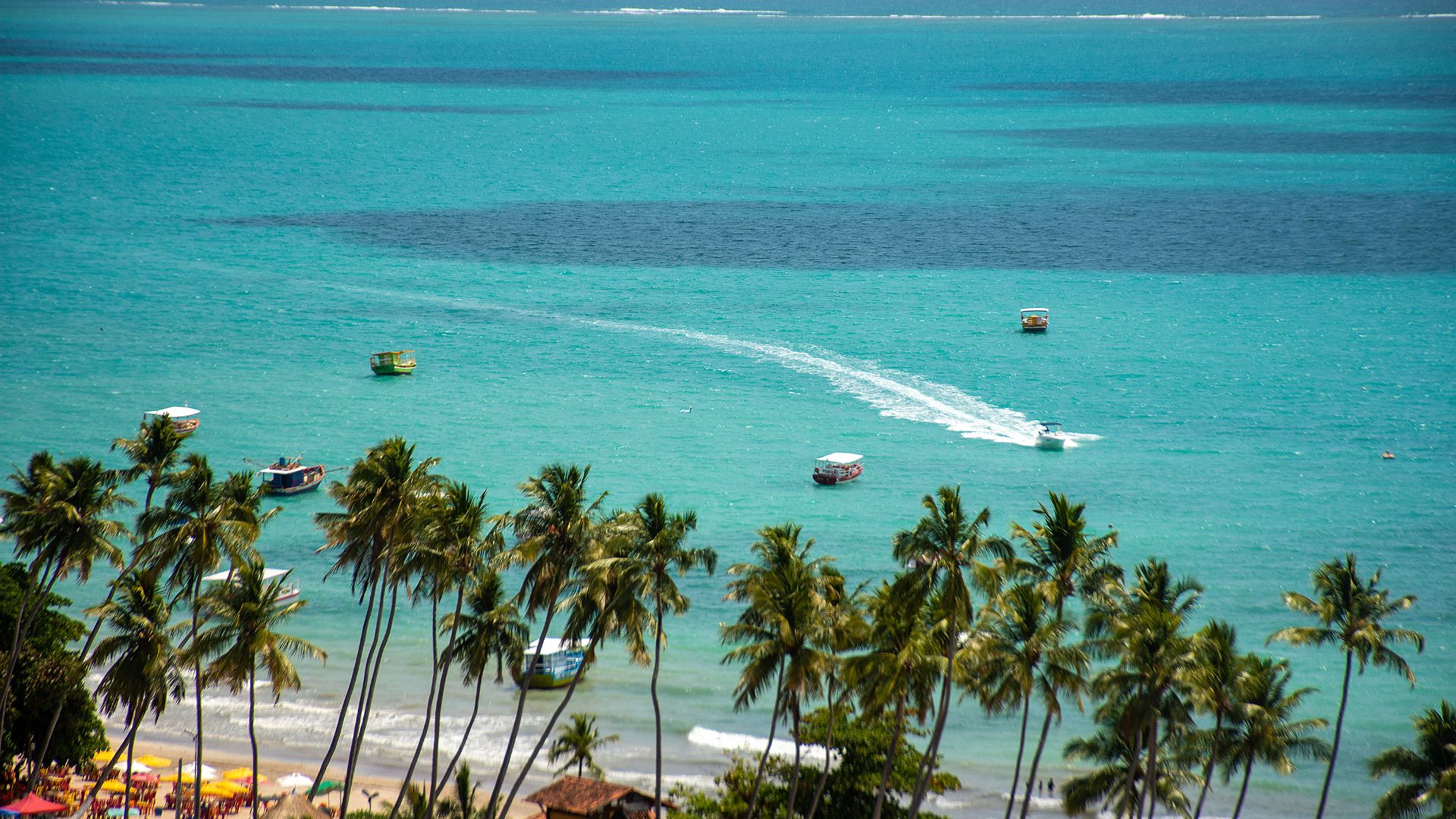 Como chegar a Maragogi, Caribe Brasileiro no nordeste do Brasil! (como chegar a Maragogi)