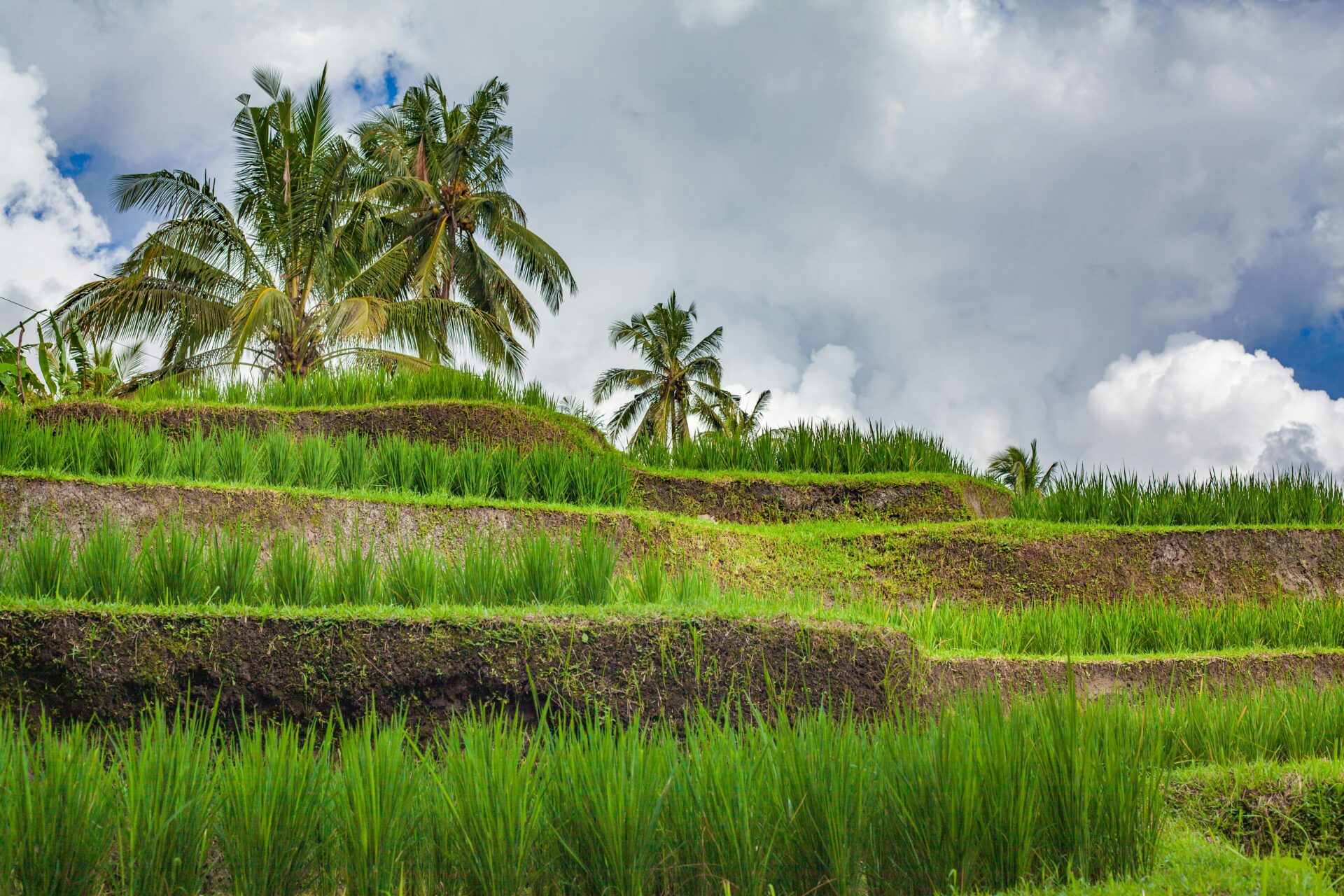 Como chegar em Bali, na Indonésia.