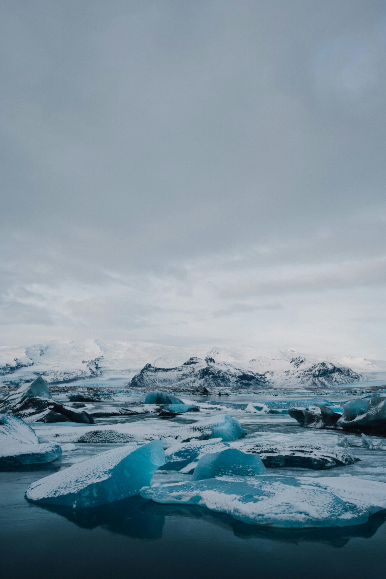 Höfn