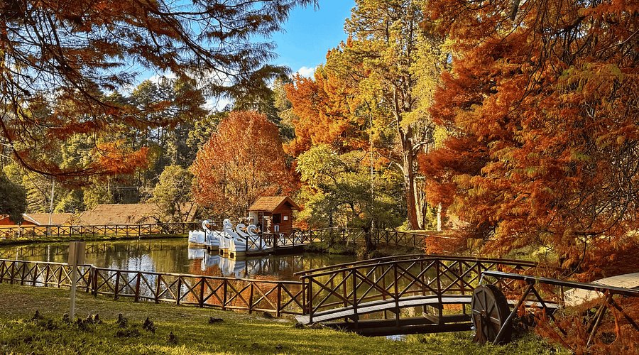 Horto Florestal, um dos lugares para visitar em Campos do Jordão