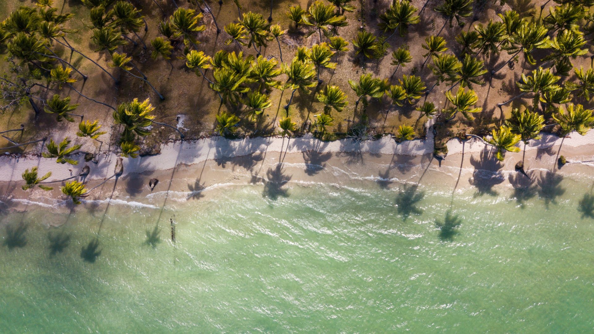 O que fazer em Porto de Galinhas, em Pernambuco, Brasil.