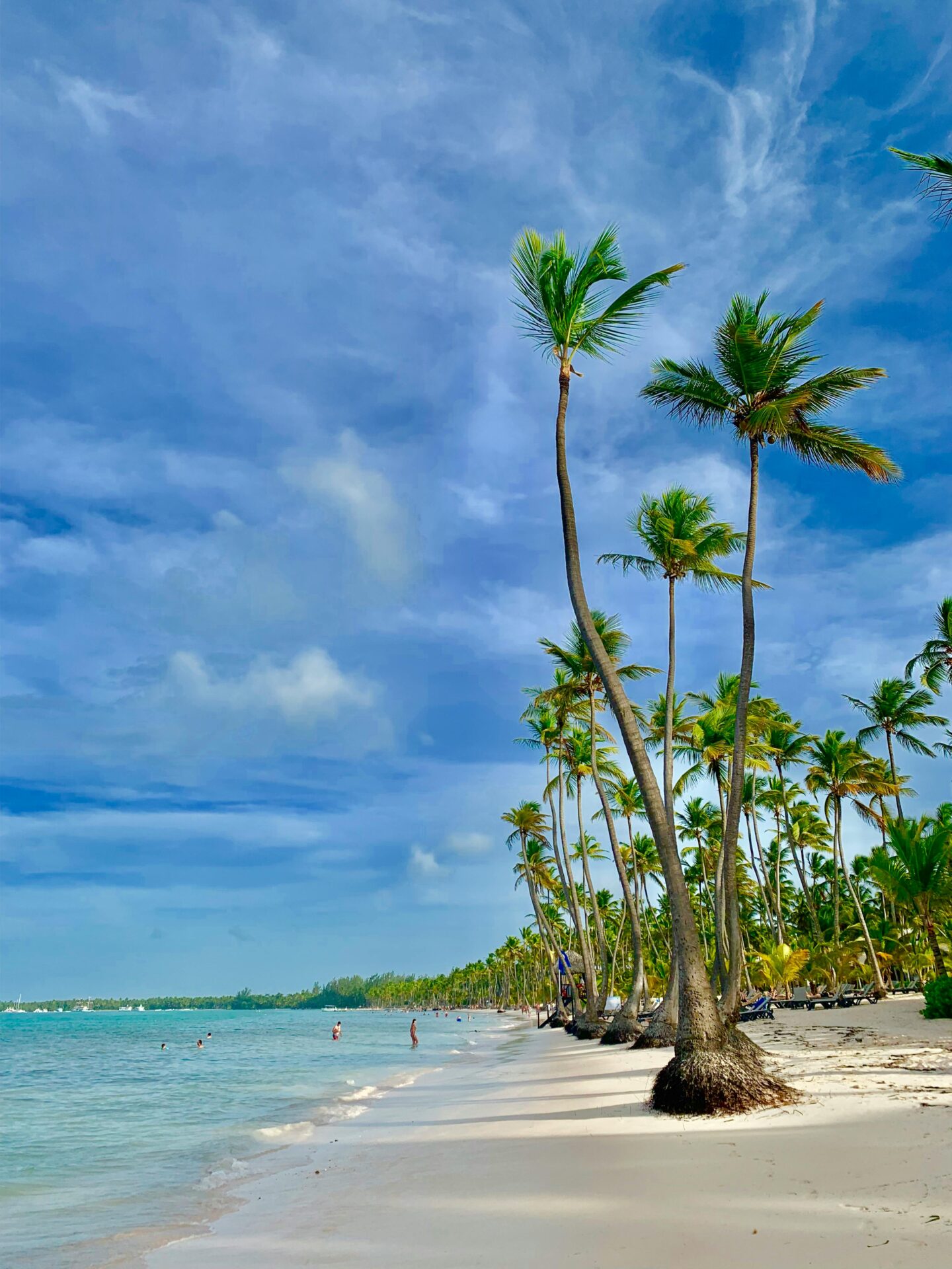 Onde comer em Punta Cana - Restaurantes e comidas típicas em Punta Cana, na República Dominicana.