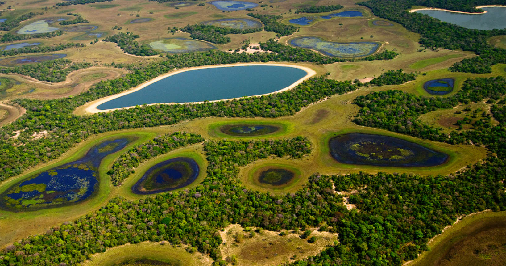 Pantanal, Brasil