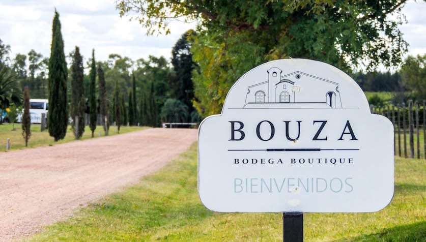 Bodega Bouza - Vinícolas em Montevideo