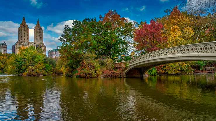 Central Park em Nova York - passeios imperdíveis em Nova York