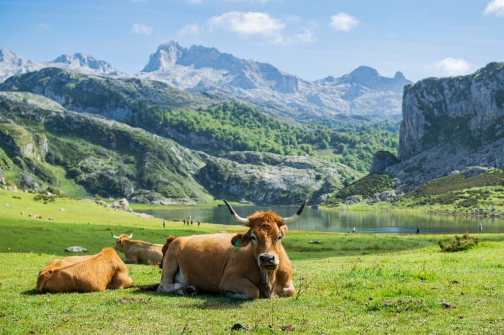 Parque Nacional dos Picos da Europa, Espanha