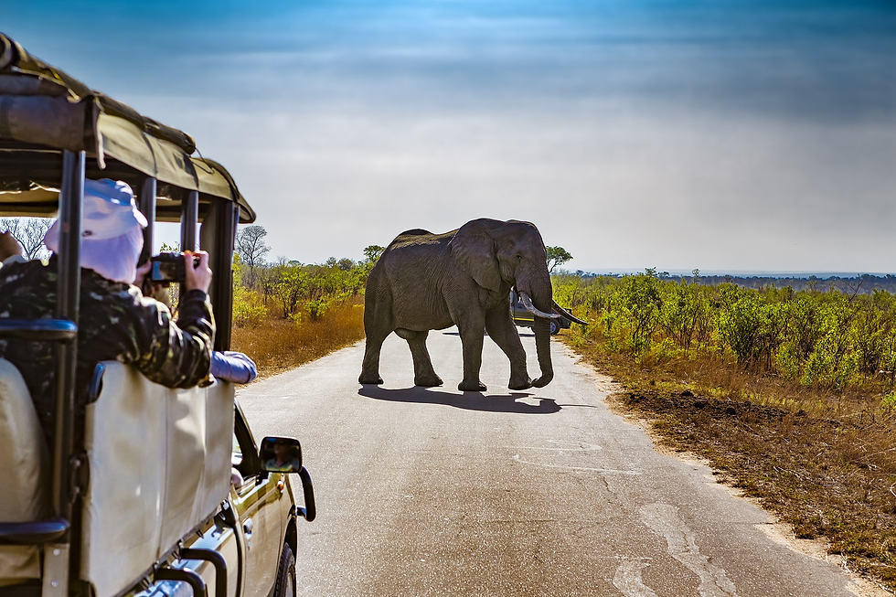 Parque Nacional Kruger, África do Sul