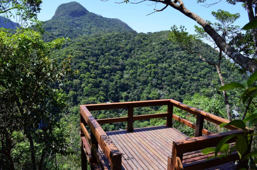 Floresta da Tijuca