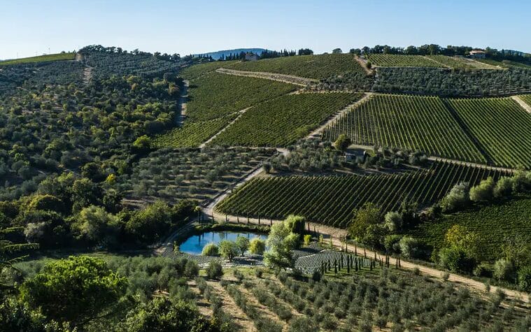 Castello di Ama - Toscana - Melhores vinícolas na Itália