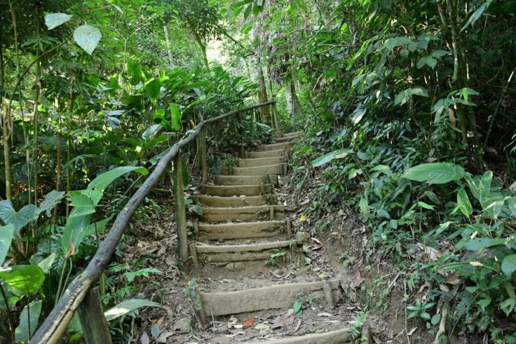 O que fazer em Ilhabela