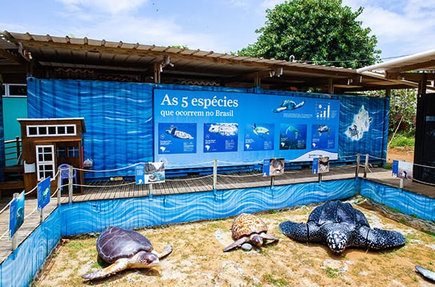 Projeto Tamar - Pontos turísticos em Fernando de Noronha, Pernambuco.