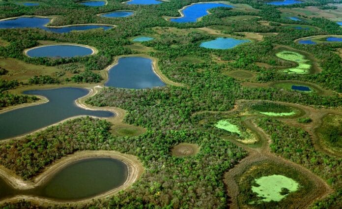 Explorando o Roteiro Pantanal