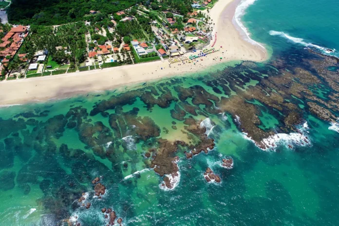 Guia de Porto de Galinhas