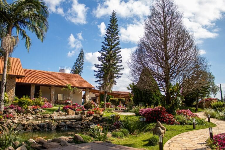 As Melhores Vinícolas em São Roque: Um Guia para os Amantes do Vinho