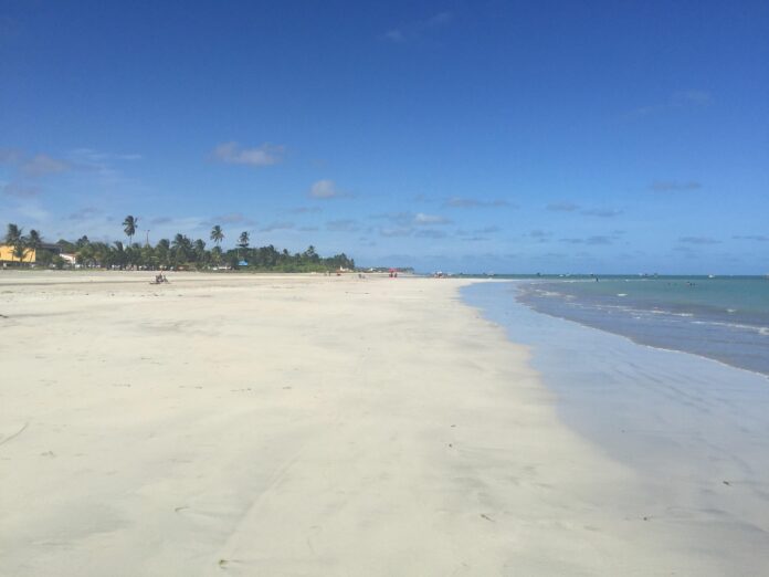 luckyalves-beach-2102025_1920