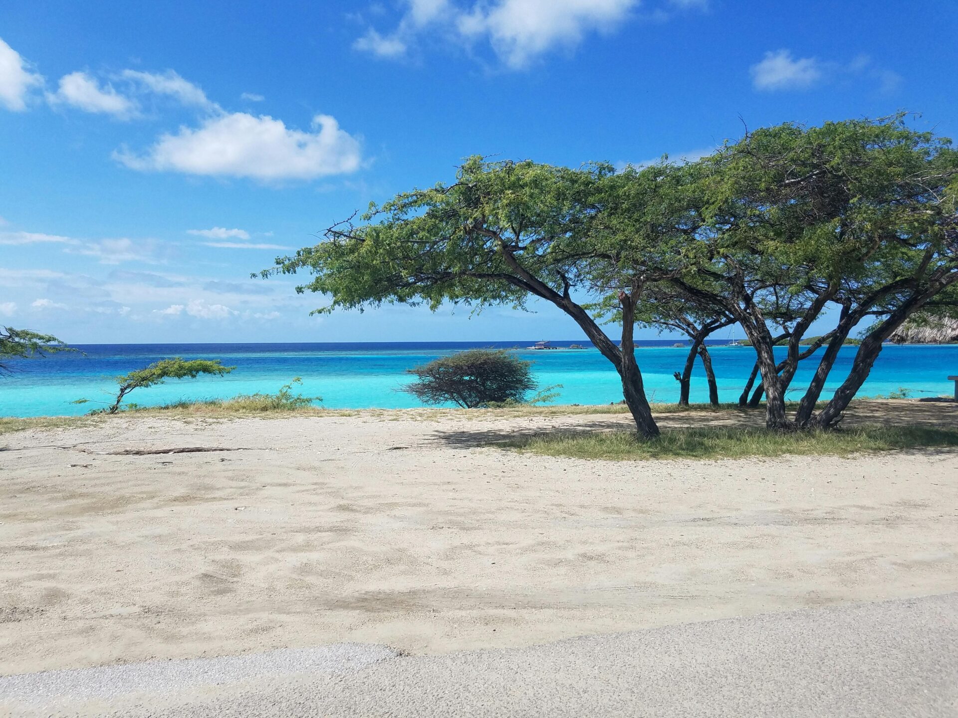 Voos para Aruba: a partir de R$ 2200 por adulto