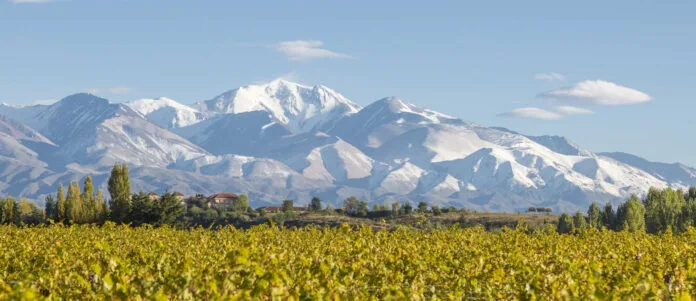 Vinhedos de Mendoza: Descubra a Capital do Malbec aos Pés dos Andes