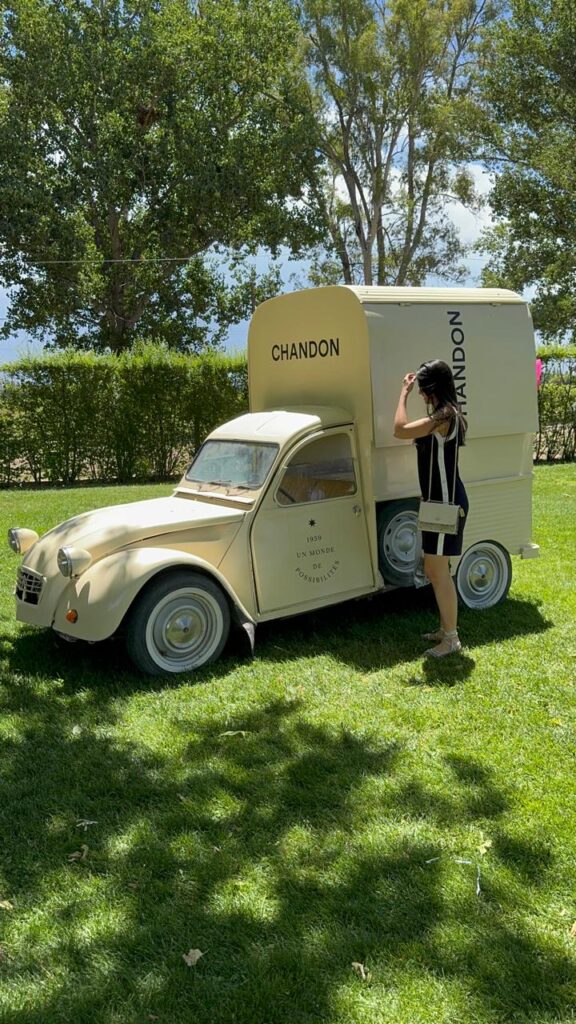 vinicola chandon