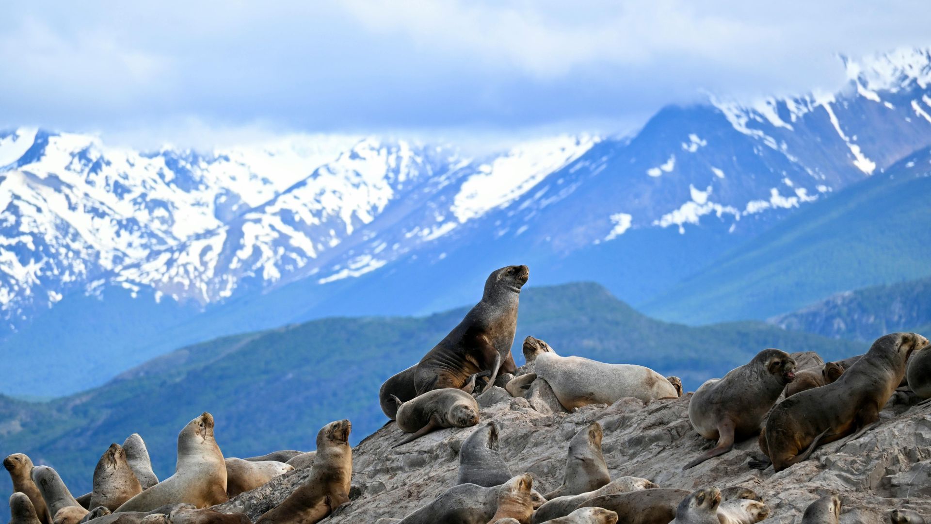 Guia de Ushuaia, Argentina.