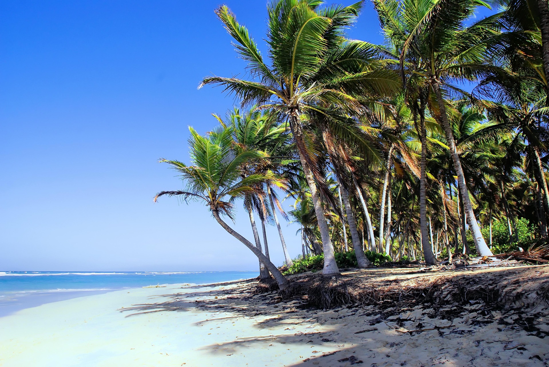 Pacote Punta Cana All Inclusive
