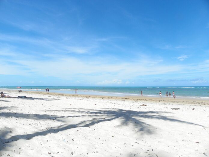 saulovieiraarquiteto-praia-2257767_1920